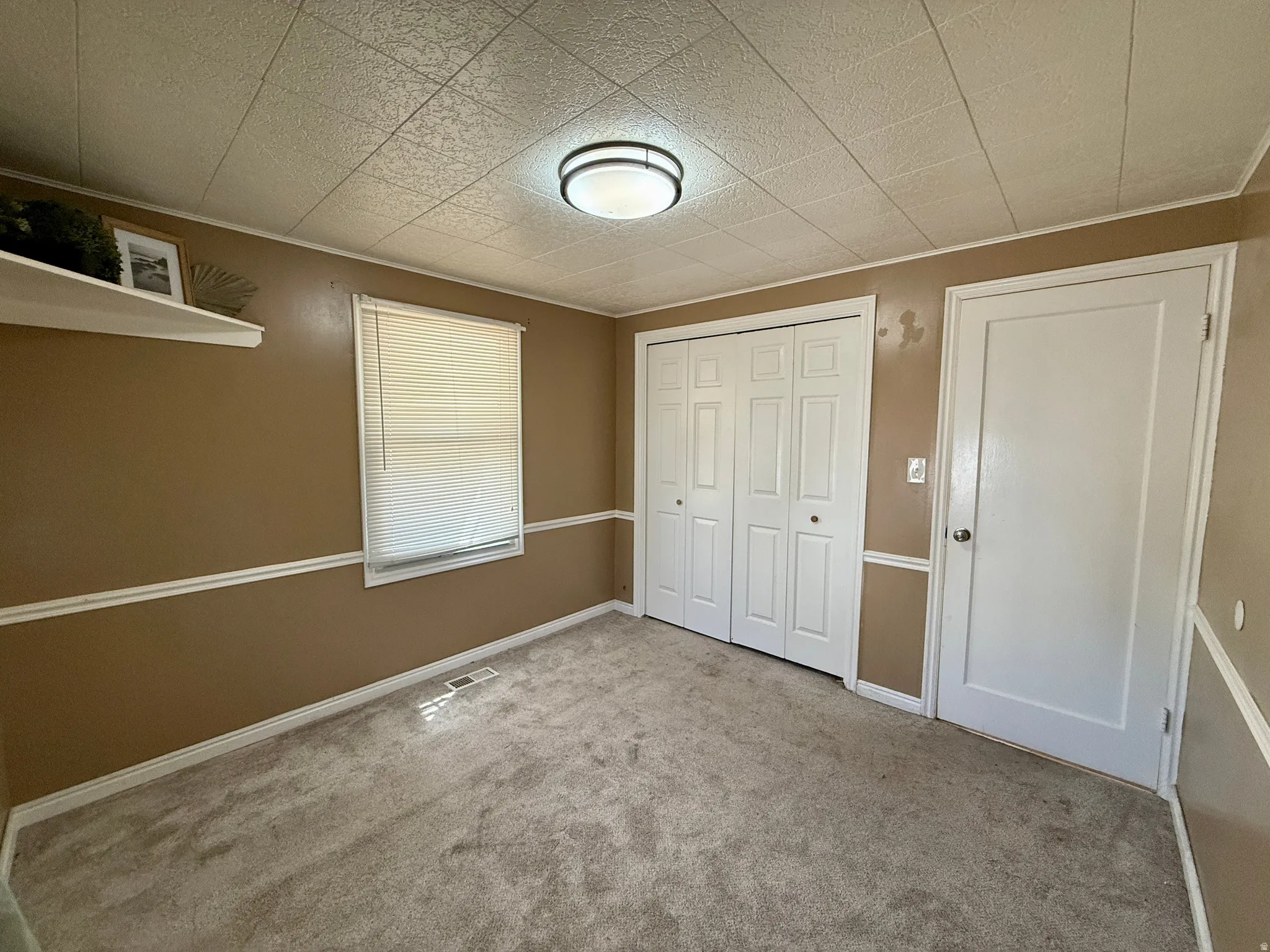Carpeted flooring, window with blinds, bi-fold closet doors, and wall-mounted shelving