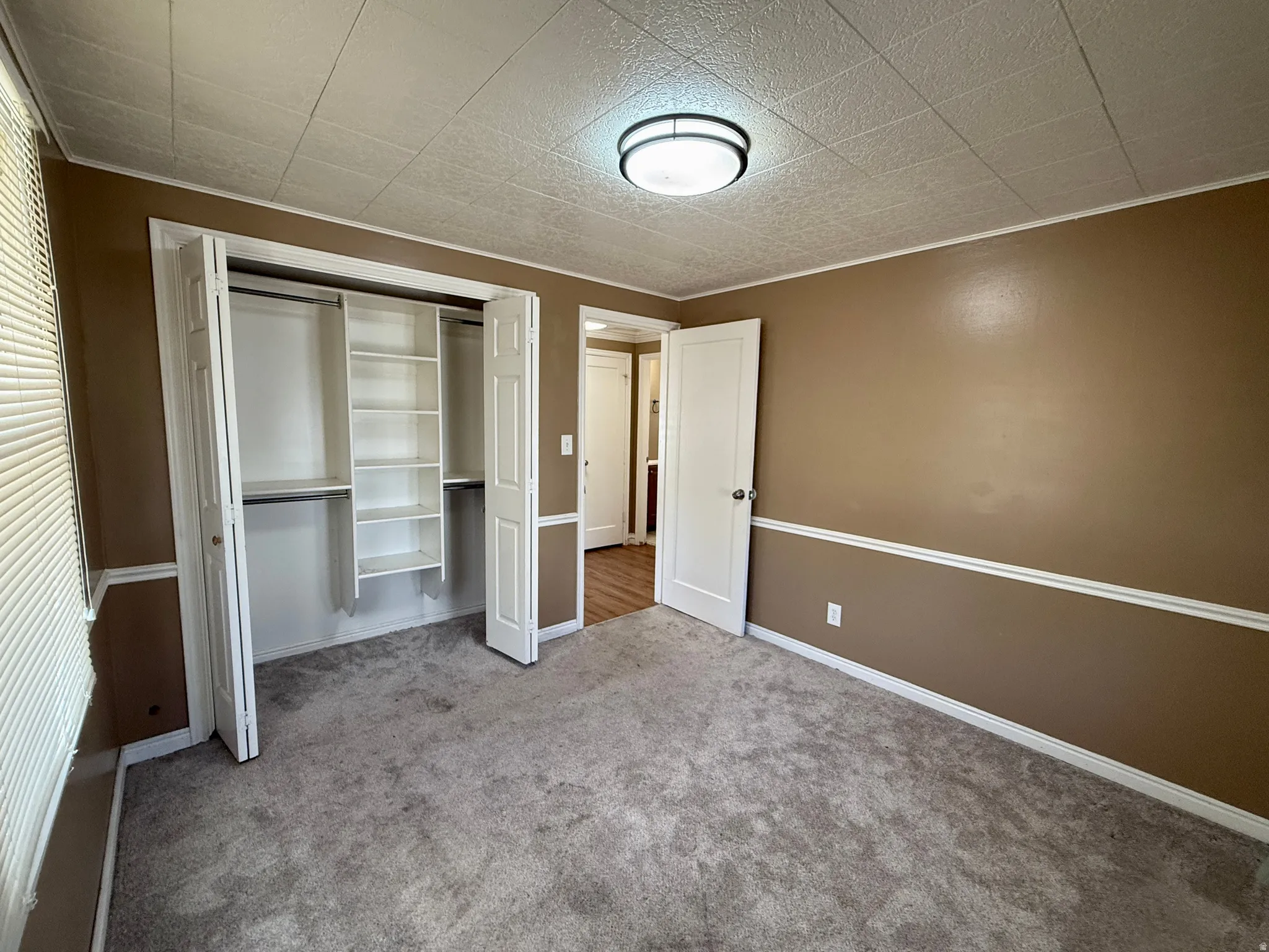 Neutral-toned carpeting, two-panel interior door, and built-in closet shelving with bi-fold doors