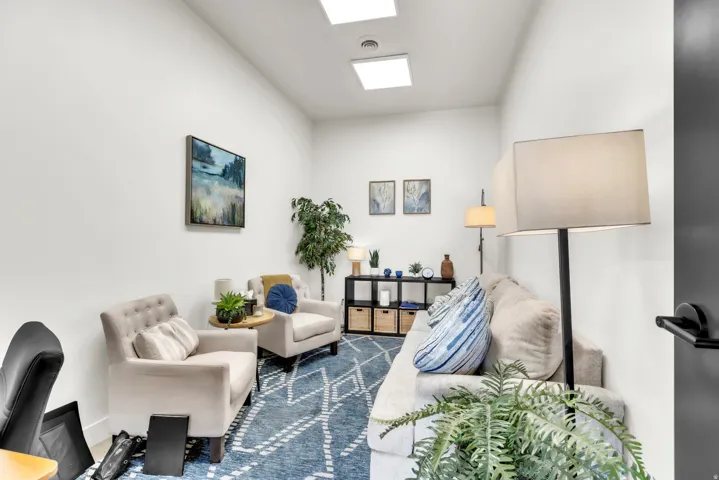 Recessed lighting, white walls, and a blue geometric area rug define this interior space