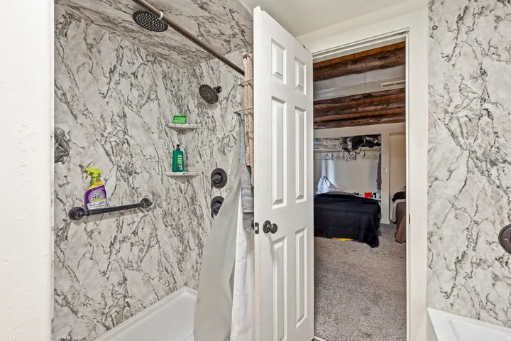 Shower featuring a rain showerhead, a wall-mounted showerhead, and a tub