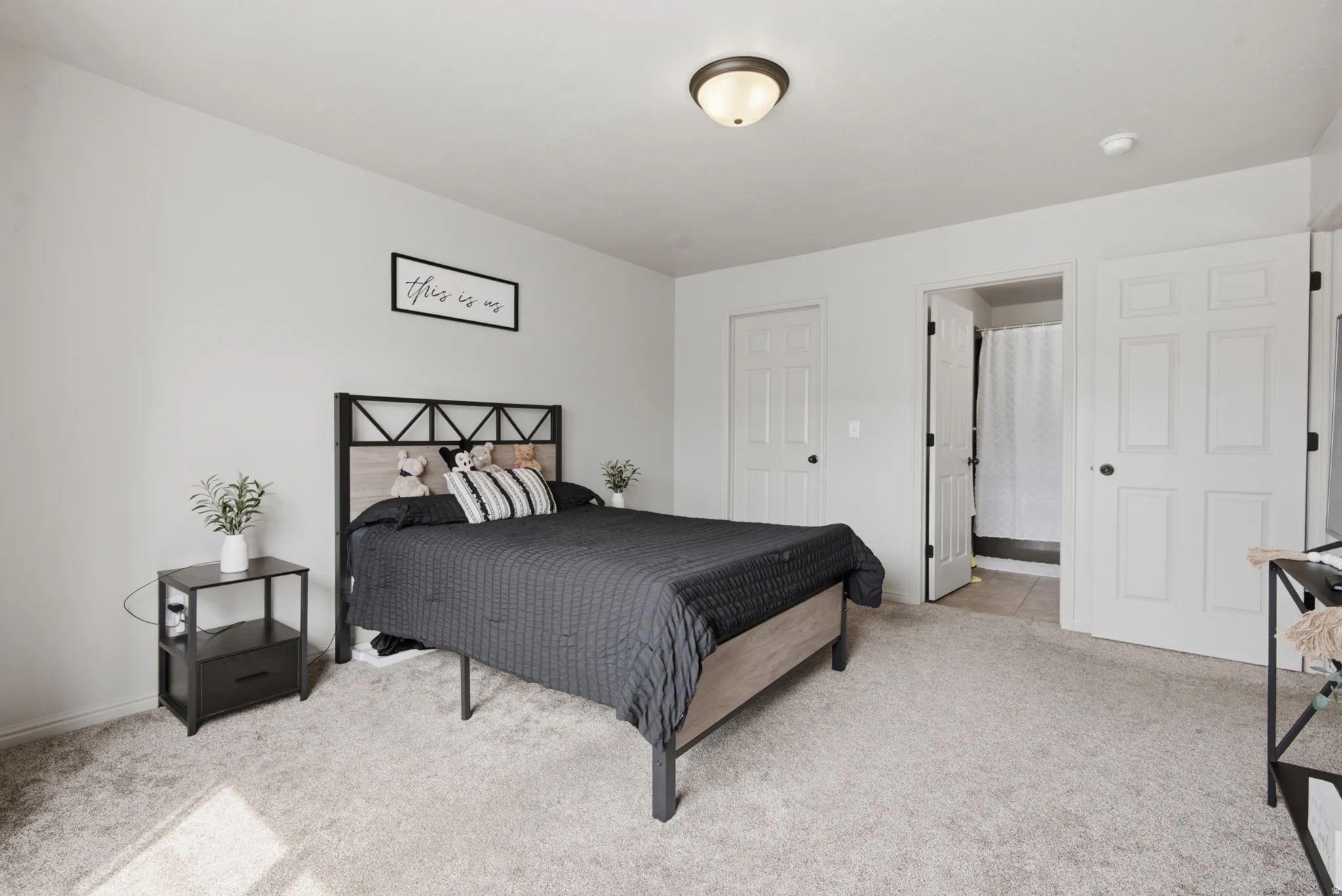 Plush carpeting, light gray wall finishes, a ceiling-mounted light fixture, and white painted doors with black hardware