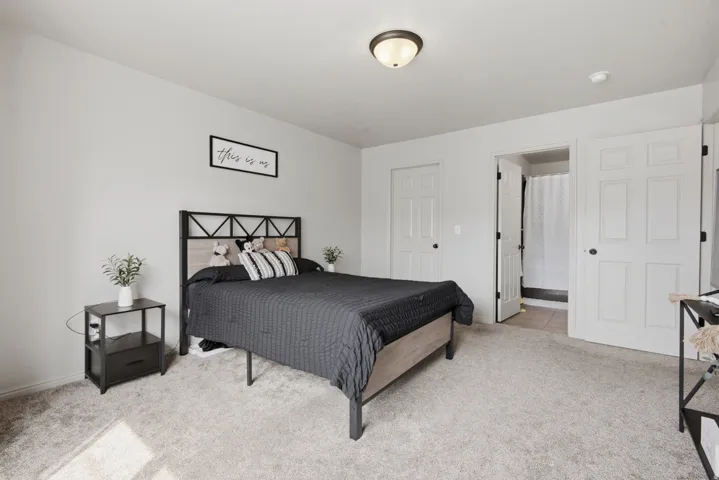 Plush carpeting, light gray wall finishes, a ceiling-mounted light fixture, and white painted doors with black hardware