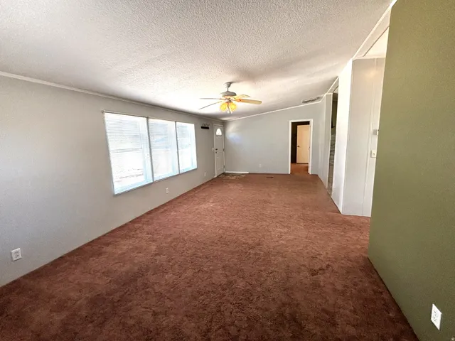 Expansive living area with textured carpet flooring, multiple windows, and a ceiling fan
