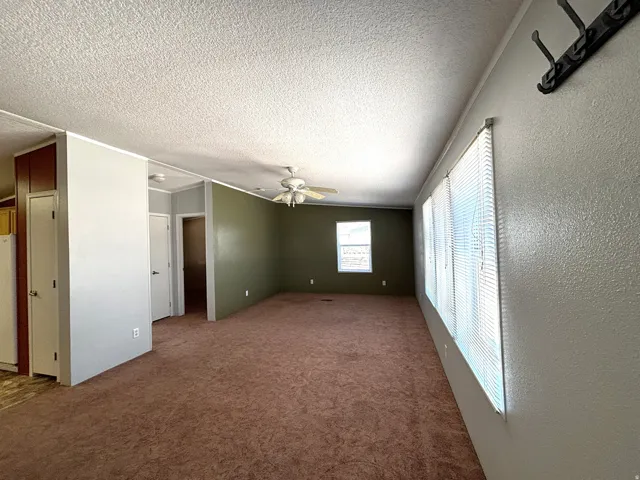 Expansive living area with brown carpeting, multiple windows, and a ceiling fan