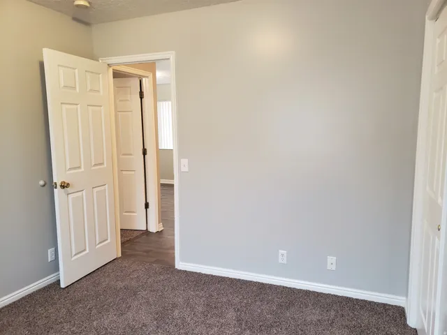 Neutral wall paint, plush carpeting, white trim, paneled interior doors, and modern electrical outlets