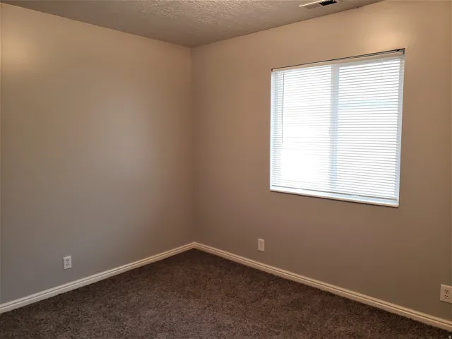 Neutral-toned walls, textured ceiling, window with white blinds, and brown carpet