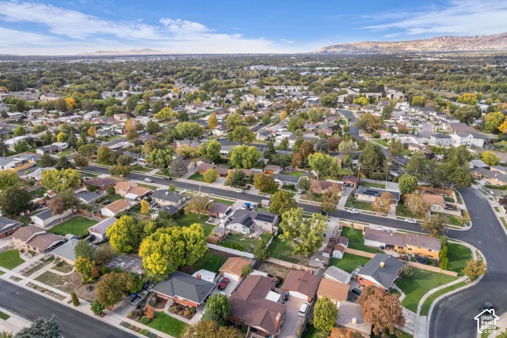 Established residential community with mature trees and paved streets