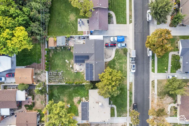 Expansive lot with mature trees, established landscaping, and an asphalt driveway