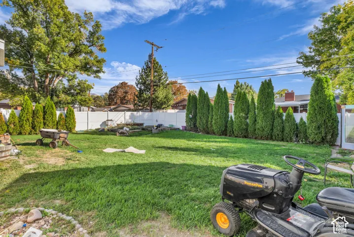 Expansive grass lawn with a white privacy fence and a row of mature evergreen trees