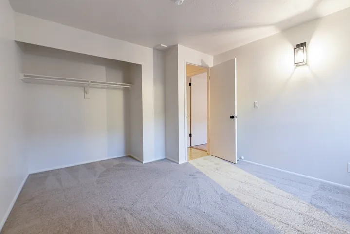 Recessed closet with dual hanging rods, wall-mounted light fixture, and neutral-toned carpeting