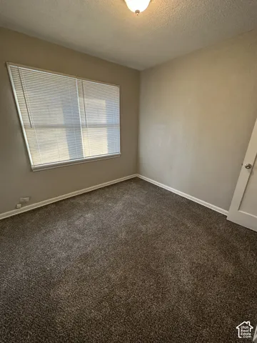 Wall-to-wall carpeting with neutral wall tones, a ceiling-mounted light fixture, and a window with blinds