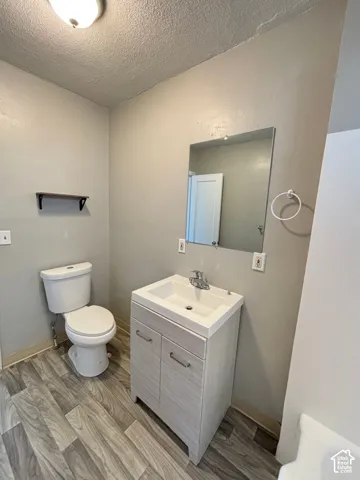 Light wood-finish flooring, white vanity with integrated sink, rectangular wall-mounted mirror, and white toilet