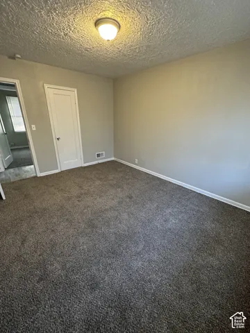 Light-colored walls, textured ceiling, flush mount ceiling light fixture, and dark gray carpeting