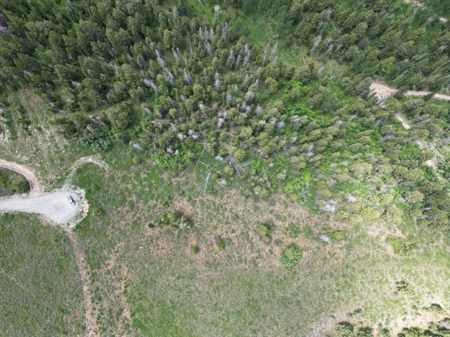 Expansive natural landscape with varied tree coverage
