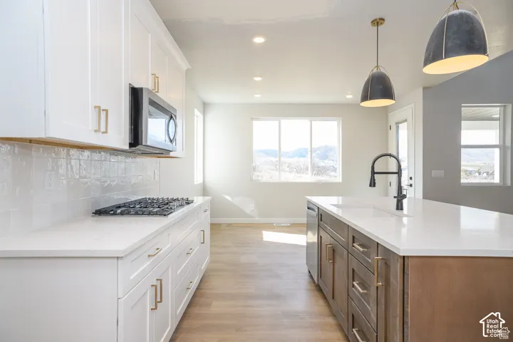 Kitchen featuring white shaker cabinetry, an island with a built-in sink and dark hardware, stainless steel appliances, and wood-finish flooring