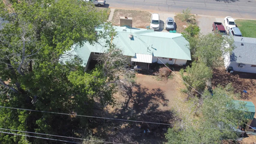 Metal roof, chimney, and mature trees surrounding the property