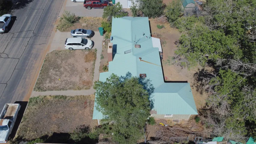 Property with a green metal roof, multiple mature trees, and a concrete driveway