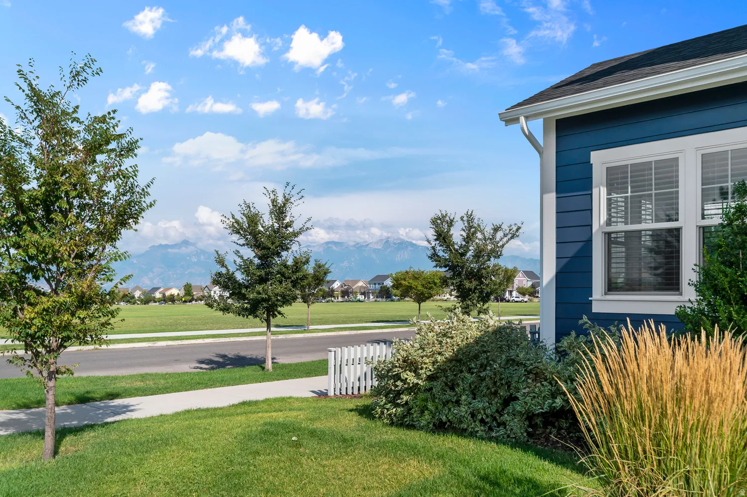 Blue horizontal siding with white trim