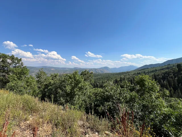 Expansive natural landscape featuring lush green foliage and distant mountain ranges under a clear sky