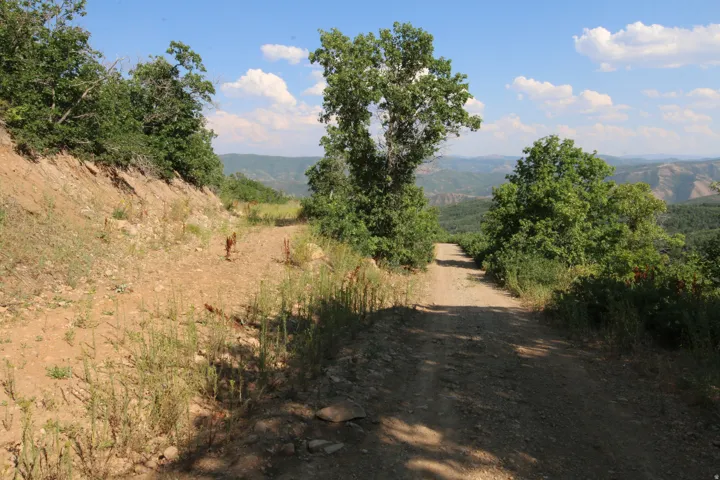 Unpaved road winding through a verdant landscape with extensive tree coverage and distant mountain ranges