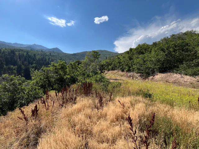 Expansive natural landscape featuring varied terrain, lush trees, and distant mountains