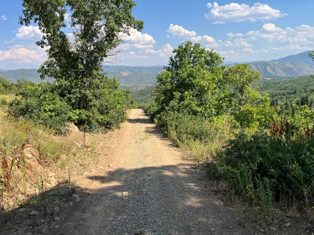 Expansive natural landscape with a gravel road, mature trees, and distant mountains