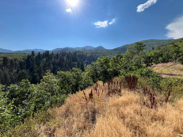 Expansive natural landscape with varied foliage, including evergreen and deciduous trees, and broad mountain ranges