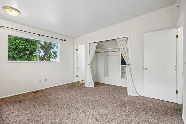 Window with outdoor tree scenery, flush-mount ceiling light fixture, carpeted flooring, built-in closet shelving, and a solid interior door