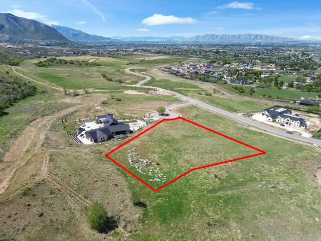 Expansive green landscape with an approximate property boundary