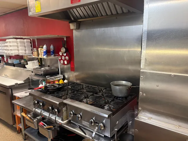 Commercial-grade stainless steel range with multiple burners, integrated stainless steel ventilation hood system, and stainless steel backsplash