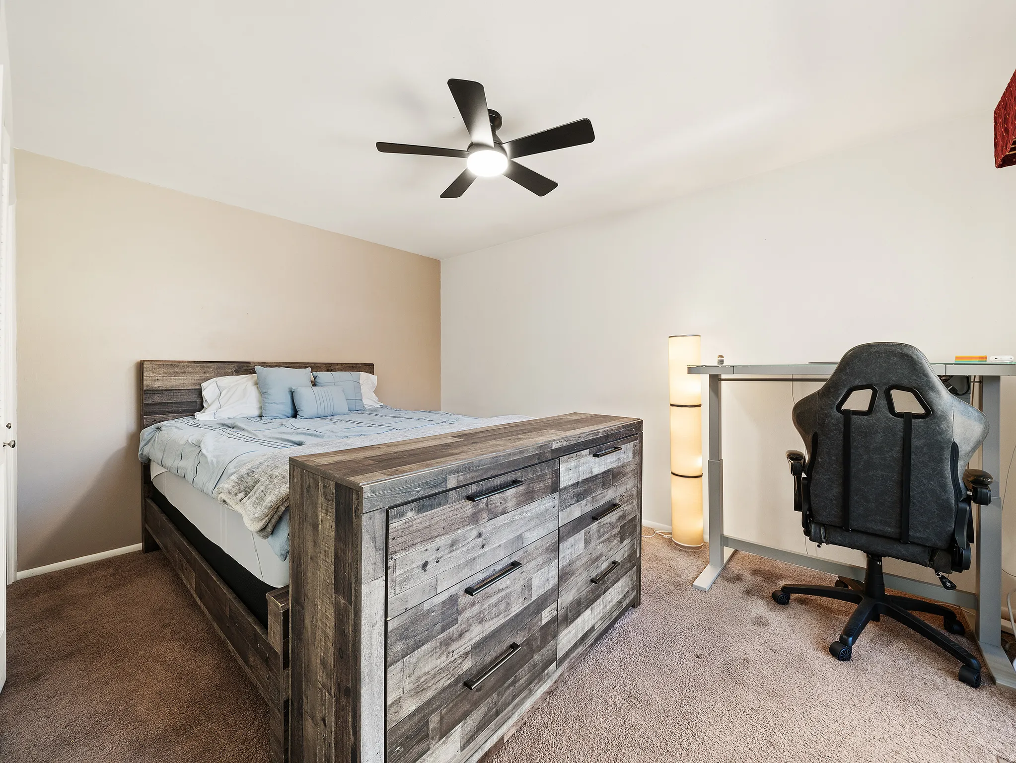 Neutral tone wall paint, textured carpet flooring, and a ceiling fan