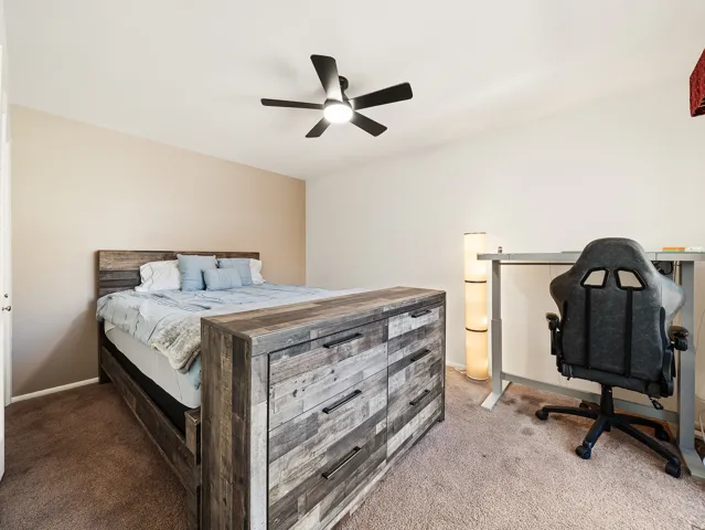 Neutral tone wall paint, textured carpet flooring, and a ceiling fan
