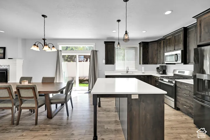 Open-concept kitchen and dining area featuring wood-finish flooring, dark wood cabinetry, white countertops, and stainless steel appliances
