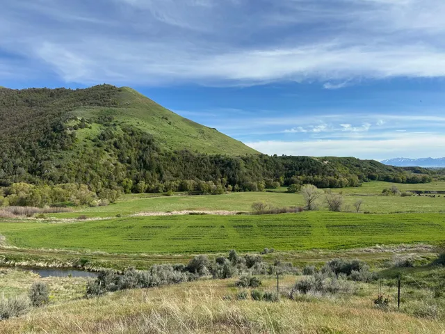 Expansive green fields with a meandering water feature, backed by a tree-covered hillside