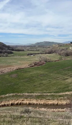 Expansive pastoral grounds featuring rolling green fields, mature tree lines defining property boundaries, and distant mountain vistas