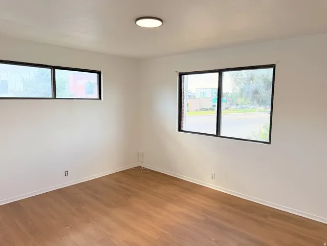 Wood-finish flooring, white walls, black-trimmed windows, and a flush-mount ceiling light