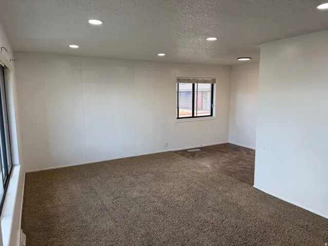 Recessed lighting illuminates the carpeted and wood-finish flooring