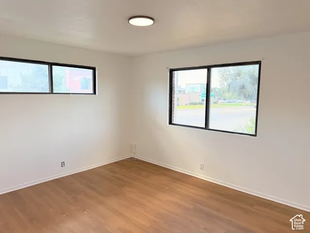 Wood-finish flooring, white walls, black-trimmed windows, and a flush-mount ceiling light