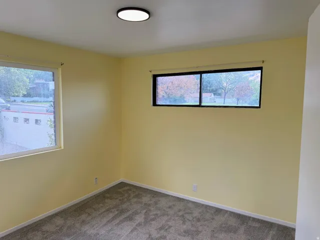 Wall-to-wall carpeting, dual windows providing natural light, and a flush-mount ceiling light