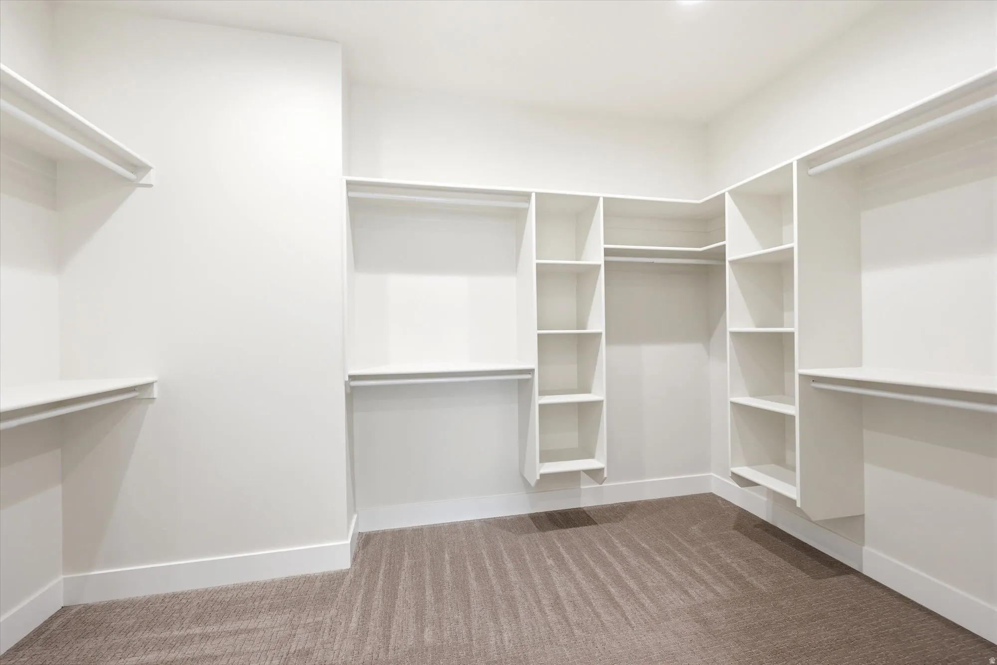 Spacious walk-in closet featuring white built-in shelving, multiple hanging rods, and carpet flooring