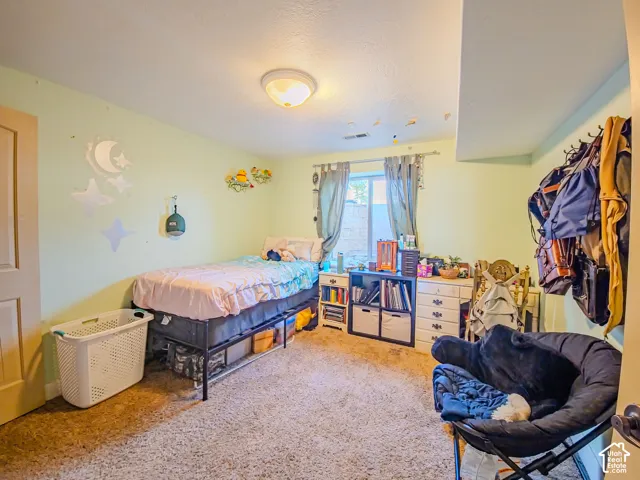 Carpeted bedroom featuring a single window and a ceiling-mounted light fixture