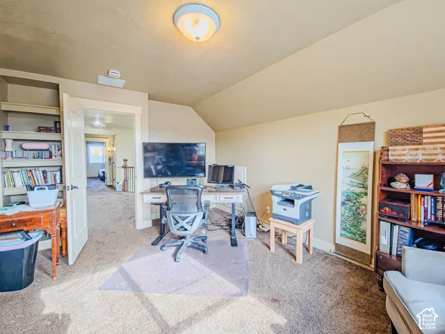 Built-in shelving, durable carpeting, recessed lighting, and a white interior door