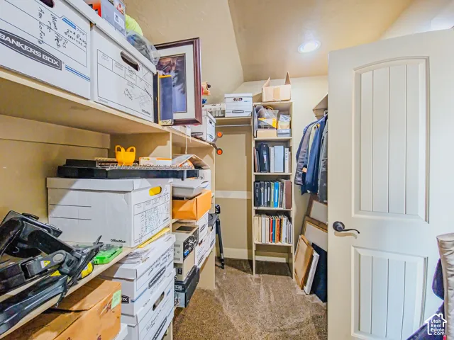 Recessed ceiling lighting, built-in shelving, carpet flooring, and a paneled door