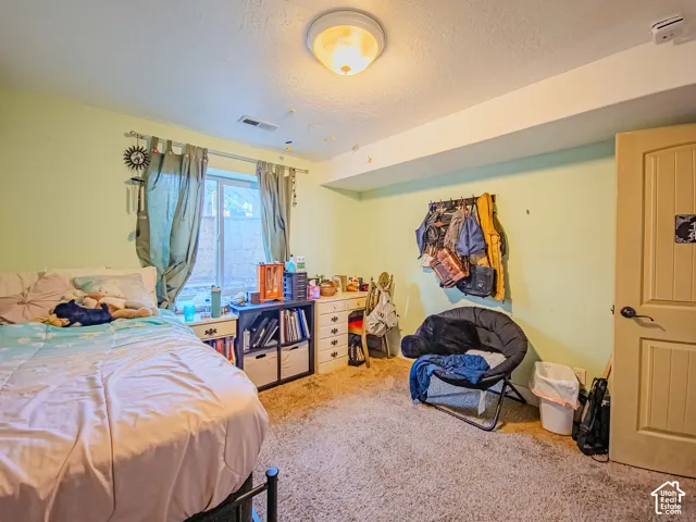 Wall-to-wall carpeting, single window with curtains, ceiling-mounted light fixture, and a solid door with a dark handle