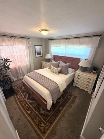 Carpeted flooring, two windows with white treatments, and a ceiling-mounted light fixture