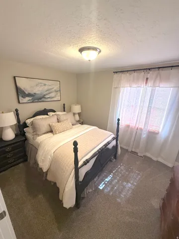 Wall-to-wall carpeting and a ceiling-mounted light fixture
