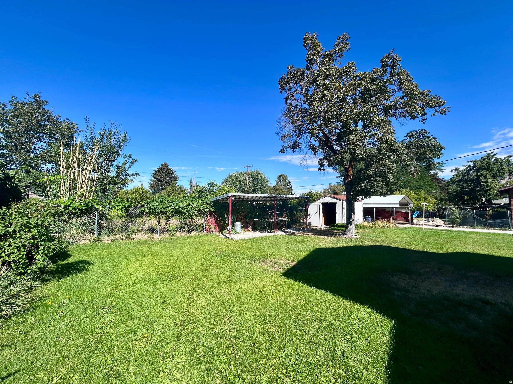 Back yard with covered patio and shed