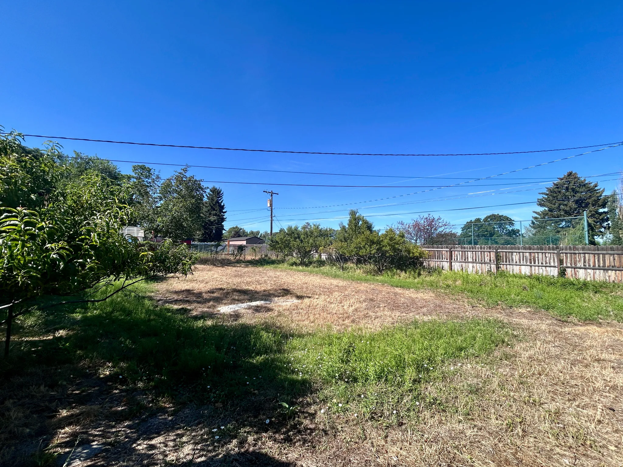 Huge garden area with fruit trees and irrigation