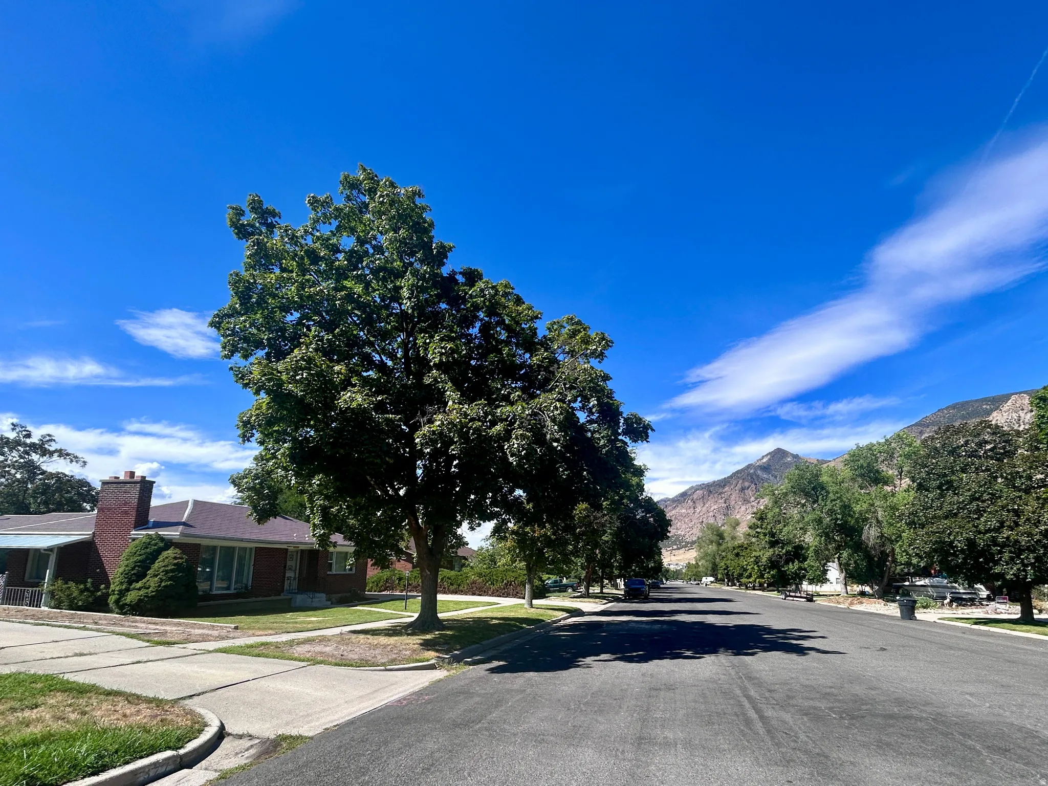 Located on a beautiful tree-lined street