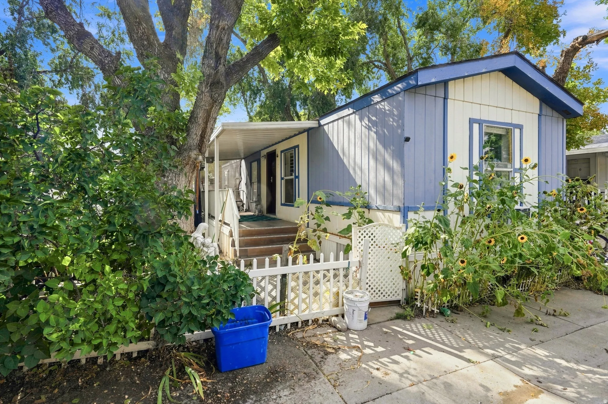 Exterior featuring light blue and white siding, an elevated covered porch with steps, a white picket fence, mature trees, and a concrete pathway